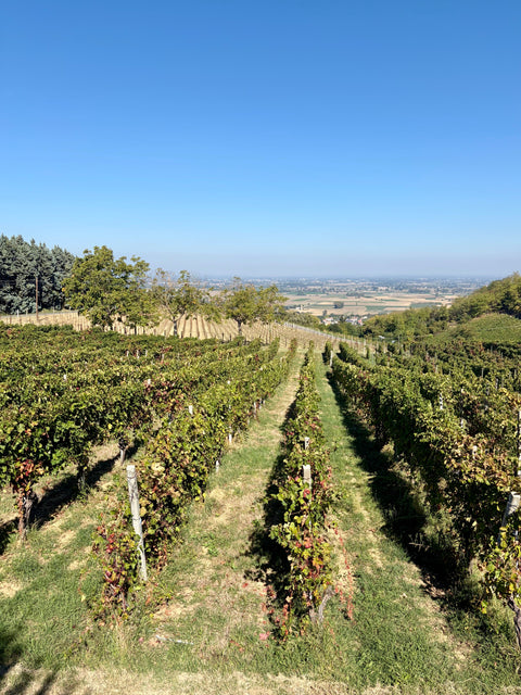 Ontdekken in Oltrepò Pavese