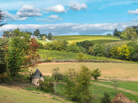 Château de Suronde