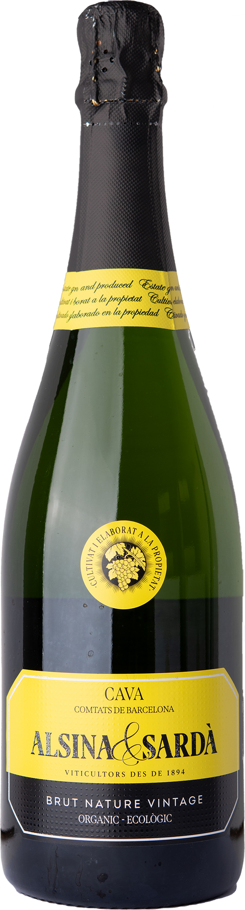 Cava Brut Nature Vintage