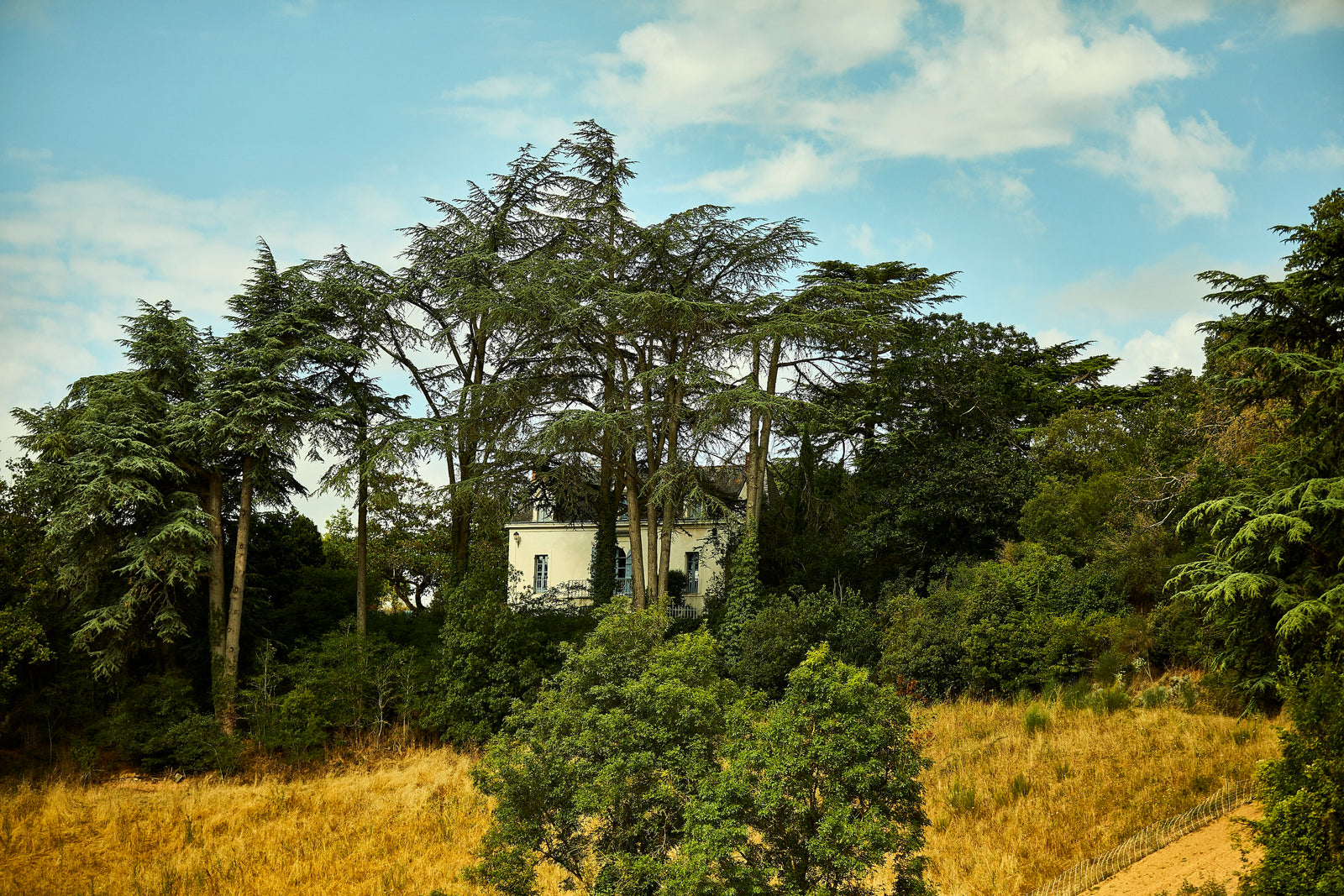 Château de Suronde extra afbeelding