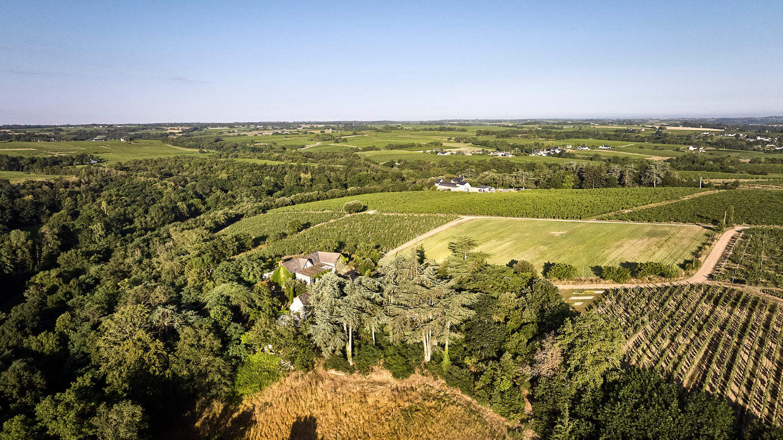 Château de Suronde extra afbeelding